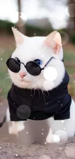 Stylish white cat with sunglasses and a black outfit.