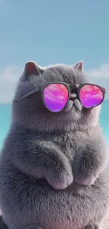 Fluffy cat with sunglasses on beach.