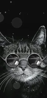 Black and white cat with sunglasses on a dark background.