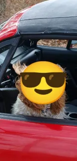 Dog with sunglasses in a red convertible car with open roof.