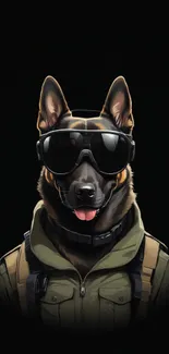 Dog wearing sunglasses and jacket on black background.