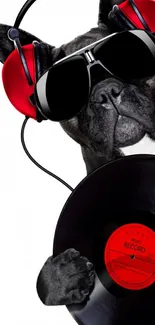 Fashionable dog with headphones and vinyl.