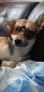 A cute dog relaxes on a couch wearing stylish sunglasses.