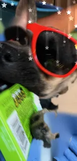 Dog with red sunglasses and stars in blue background wallpaper.