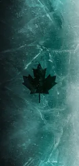 Dark teal maple leaf on textured ice background wallpaper.