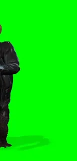 Cartoon monkey in leather jacket on bright green background.