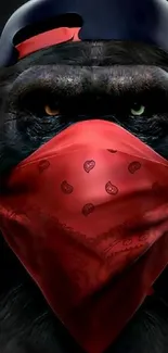 Monkey wearing a red bandana and cap on a dark background.