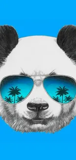 Panda with sunglasses on blue background