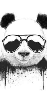 Black and white panda wearing sunglasses with a minimalistic design.