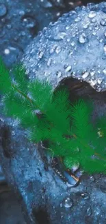 Blue-gray stones with dewdrops and green foliage overlay in a cool wallpaper.