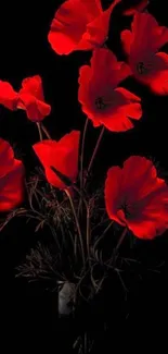 Coquelicot Corn Poppy Flora Live Wallpaper