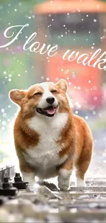 Joyful corgi walking in rain on train tracks, with text 'I love walks'.