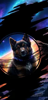 Dog with cosmic ring in galaxy-themed wallpaper.