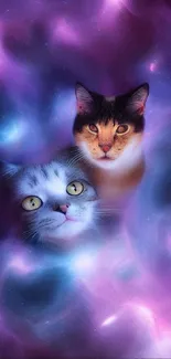 Purple cosmic wallpaper with two cats in a nebula-like setting.