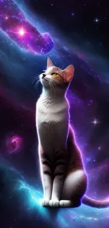 A cat sits serenely amidst a vibrant galaxy.