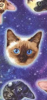 Whimsical cosmic wallpaper with cat heads and a starry galaxy background.