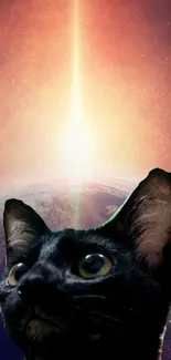 Black cat gazing at a cosmic glow with Earth in the background.