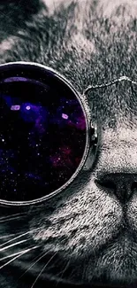 Cat wearing galaxy-themed sunglasses against a grey background.