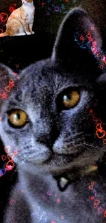 Cosmic cat portrait with glowing hearts.