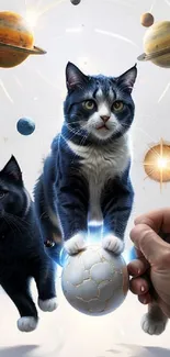 Cats explore in a space-themed setting with planets and cosmic details.