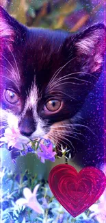 Enchanting kitten with a cosmic heart wallpaper.