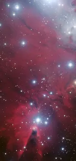 Crimson cosmic nebula with shimmering stars captured in a vibrant wallpaper.