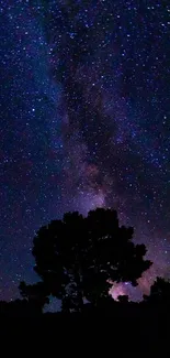 Starry night sky with tree silhouette, perfect for mobile wallpaper.