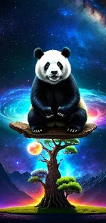 Surreal cosmic panda with galaxy background on tree art wallpaper.