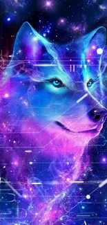 Cosmic wolf in purple and blue galaxy wallpaper.