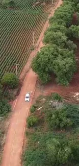 Aerial view of a road amid green fields and lush trees.