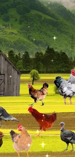 Chickens in a lush green countryside with cloudy skies and rustic barn.