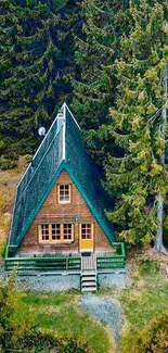 A-frame cabin surrounded by lush forest greenery.