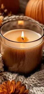 Cozy autumn candle with pumpkins and knit fabric setting.