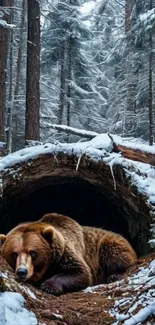 Bear resting in a snowy forest scene