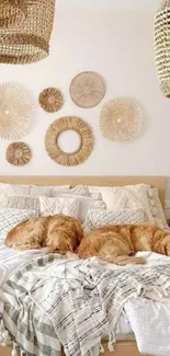 Cozy bedroom with sleeping dogs and neutral decor.