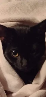 Black cat snugly wrapped in beige blanket.