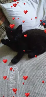 Black cat relaxing on a comfortable bed.