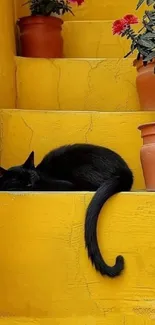 Black cat resting on vivid yellow steps with potted plants.