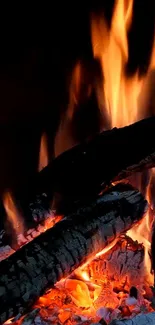 Glowing campfire with vivid orange flames and burning logs creating warmth.