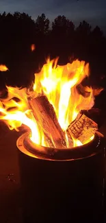 Nighttime campfire brightening the dark outdoors.