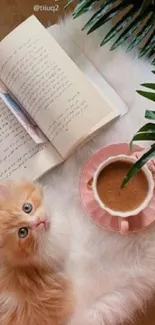 Fluffy kitten with coffee and book setting.