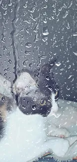 A cozy cat relaxing behind a raindrop-covered glass window.