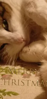 Cute cat with Merry Christmas text, cozy warm tones.