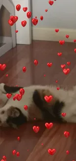 Cat lying on wooden floor with floating red hearts.