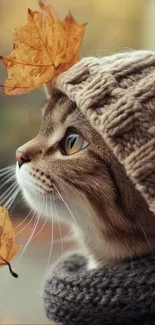 Cat in knitted hat gazes through a window with autumn leaves.