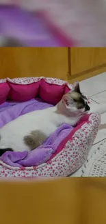 Cozy cat resting in a purple bed with floral design.