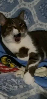 Adorable tabby cat yawning on a blue patterned blanket.