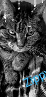 Monochrome cat resting on a flannel shirt with text 'Zippy' in blue.