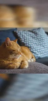 Ginger cat relaxing on a cozy couch with decorative pillow in the background.