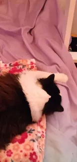 A black and white cat sleeping on a floral blanket in a cozy setting.